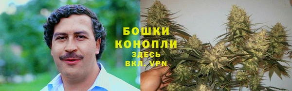 ALPHA PVP Алексин
