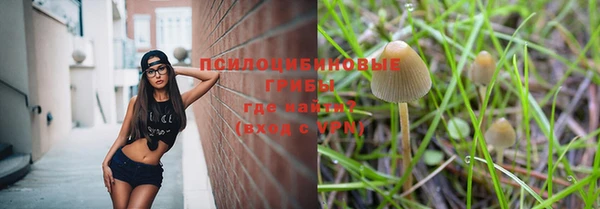 мескалин Алексеевка