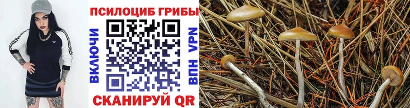 Галлюциногенные грибы Psilocybine cubensis  купить наркоту  Краснокамск 