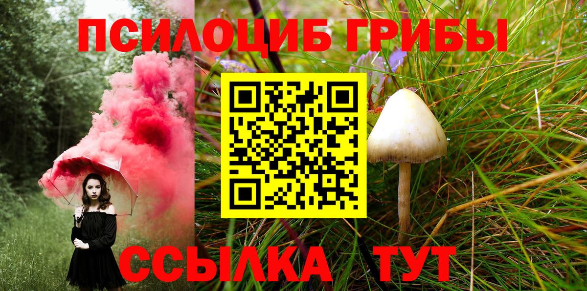 Краснокамск  Галлюциногенные грибы MAGIC MUSHROOMS  Вход с VPN 