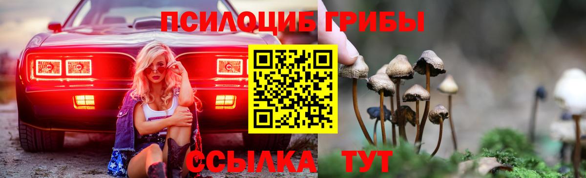 Галлюциногенные грибы MAGIC MUSHROOMS Краснокамск